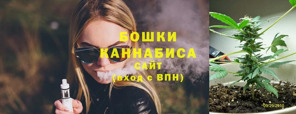 дурь Новодвинск