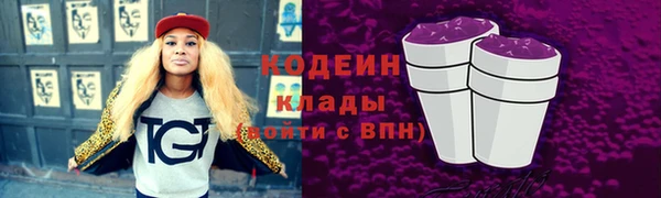 соль ск Новозыбков