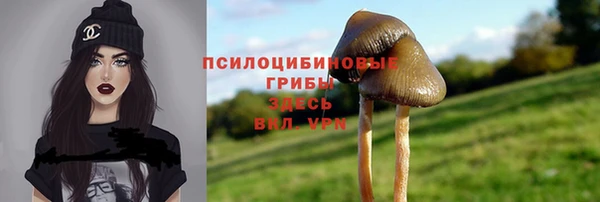 дмт Медвежьегорск