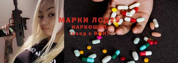 соль ск Новозыбков