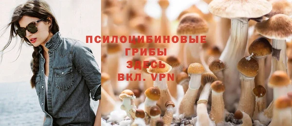 метадон Мегион