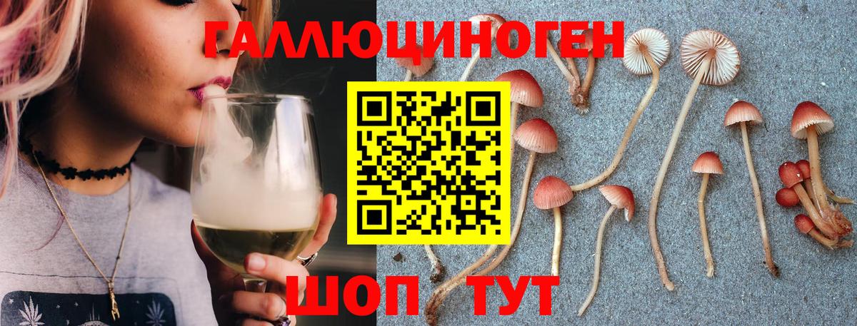 Псилоцибиновые грибы MAGIC MUSHROOMS Обнинск